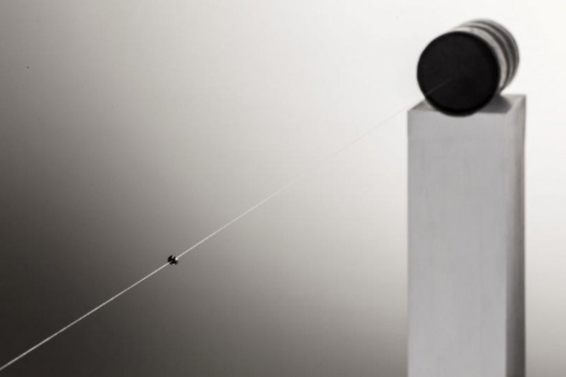 Coexistence | Annamaria Maccapani - New lands