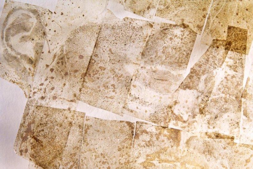 Coexistence | Francesca Piovesan - Impressions