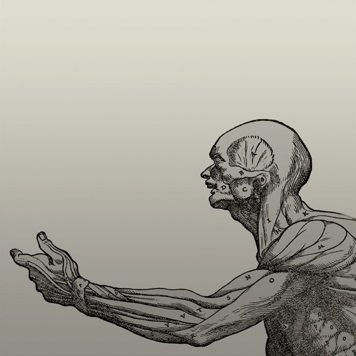 Il corpo scoperto