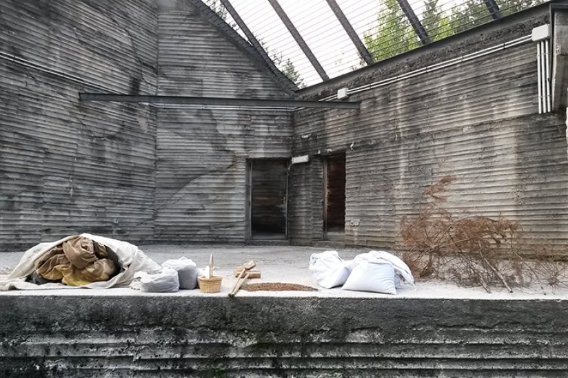 Ilaria Fasoli, Giovanni Sartori.