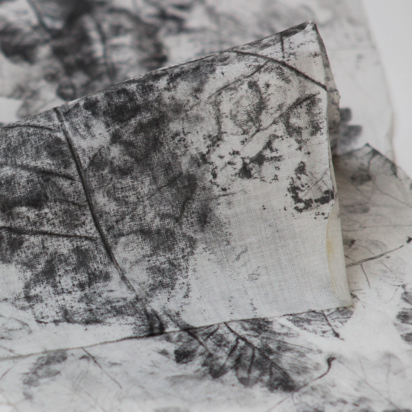 Libro e Natura - Workshop