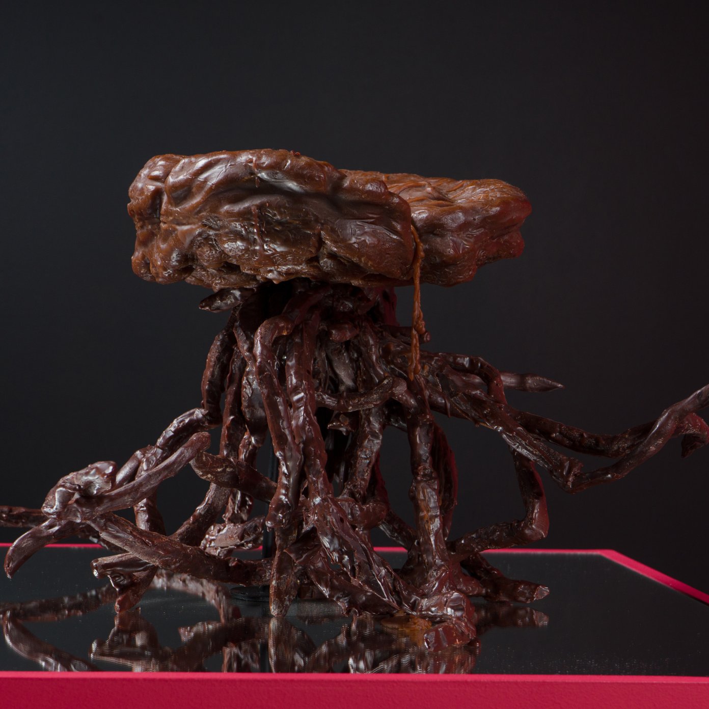 Santa Marta come Concept. Incontro con l'artista María Roldán